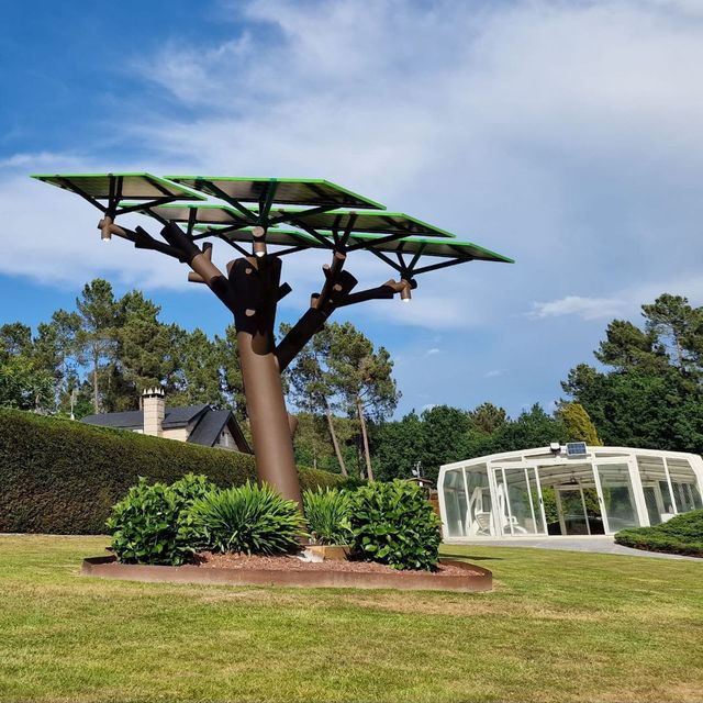 Jardín con árbol solar