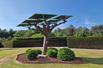 árbol solar